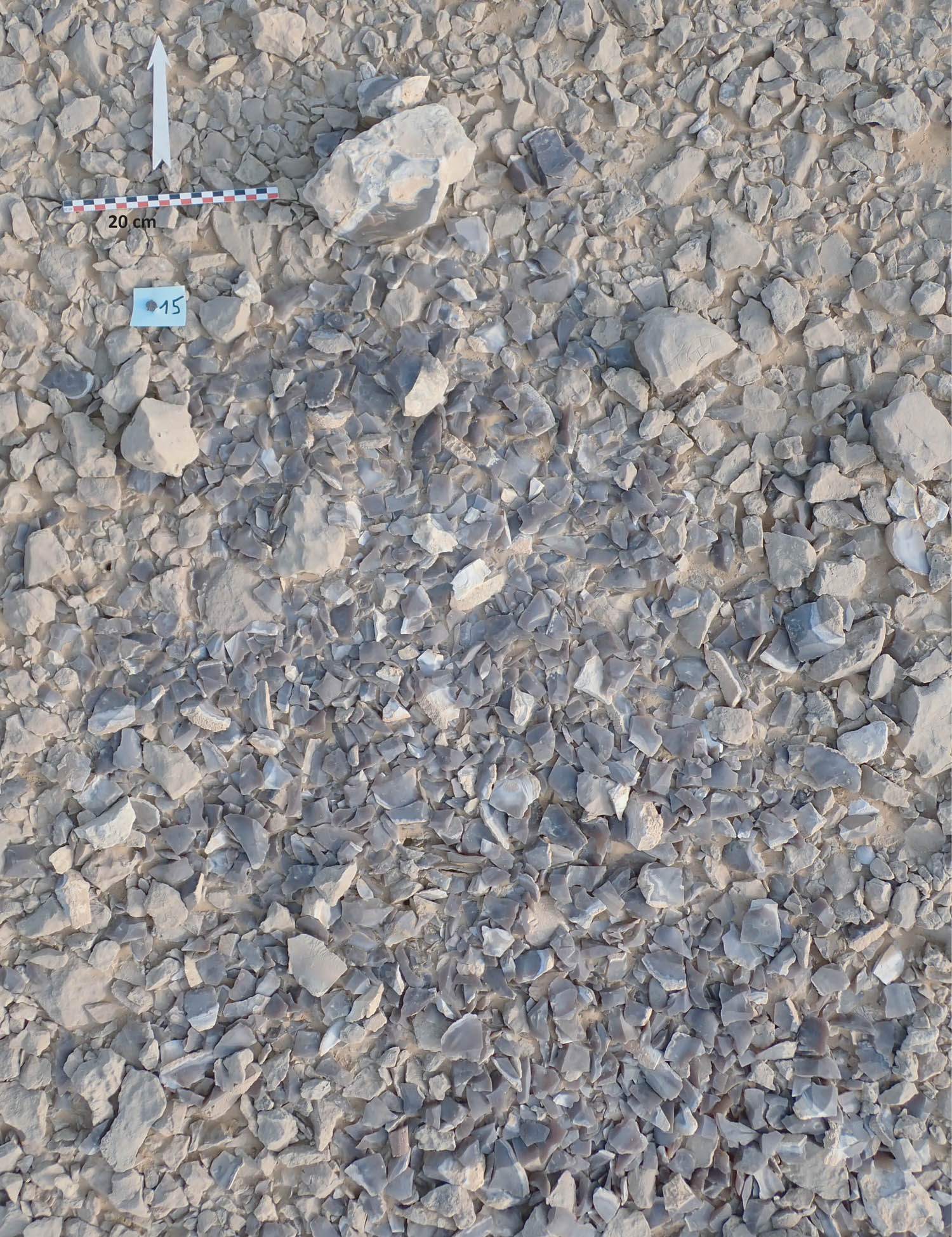 Figure A6 
                     Lithic concentration (WS003.15) excavated at the WS003 site (photo P.-A. Beauvais, 2021).
                  