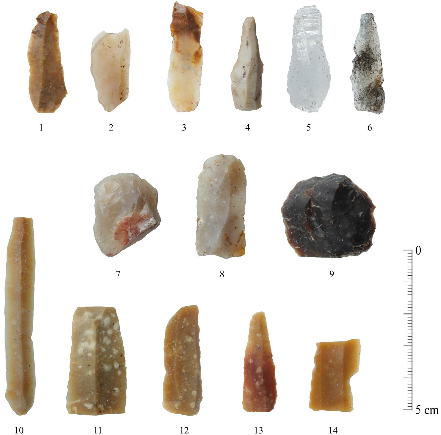 Teaser image from the article