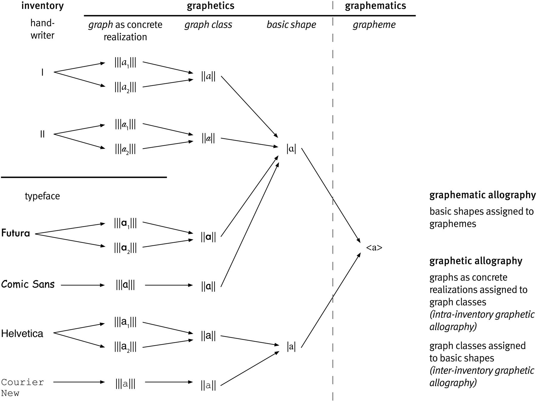 Figure 3 
               Overview of type-token-relationships in allography.