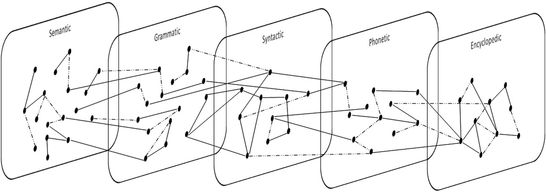 Figure 4
Possible layers of the lexicon. Dashed lines symbolize individual connections, while solid lines show connections shared by a group of speakers.