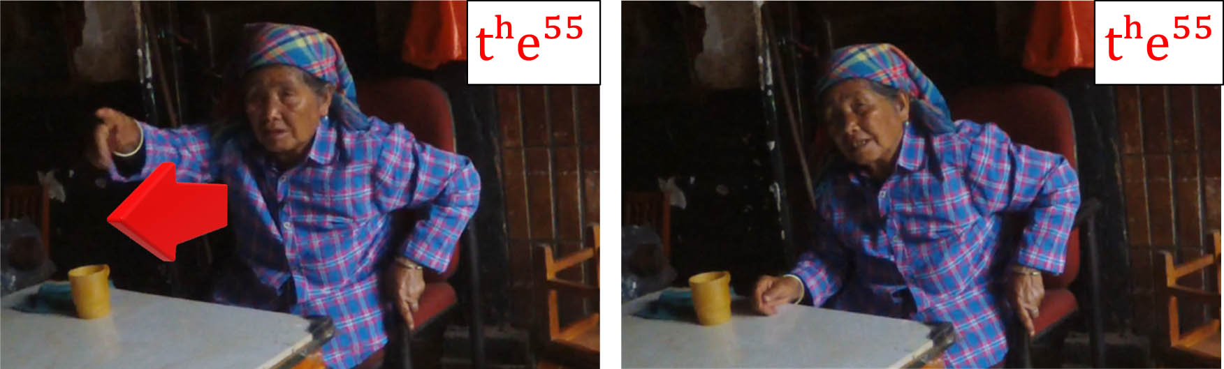 Figure 12 
               tʰe⁵⁵. Co-timed with pointing before, but not after, the addressee finds the referent.
            