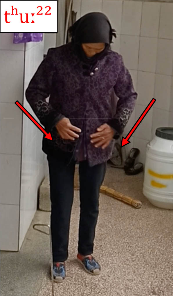 Figure 13 
               MSN pointing at her own clothing. A photograph was taken during the dialogue in Example 21 which was however not audio recorded.
            