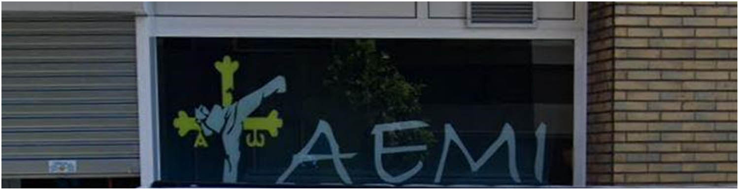 Figure 7 
               Korean–Spanish translanguaging sign with Asturian semiotic symbols.
            