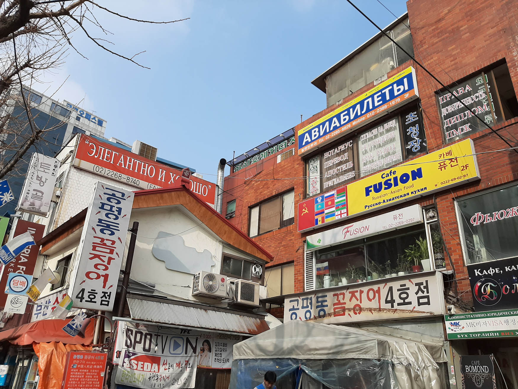 Figure 5 
                  Signboard of café “Fusion,” Mongolian city.
               