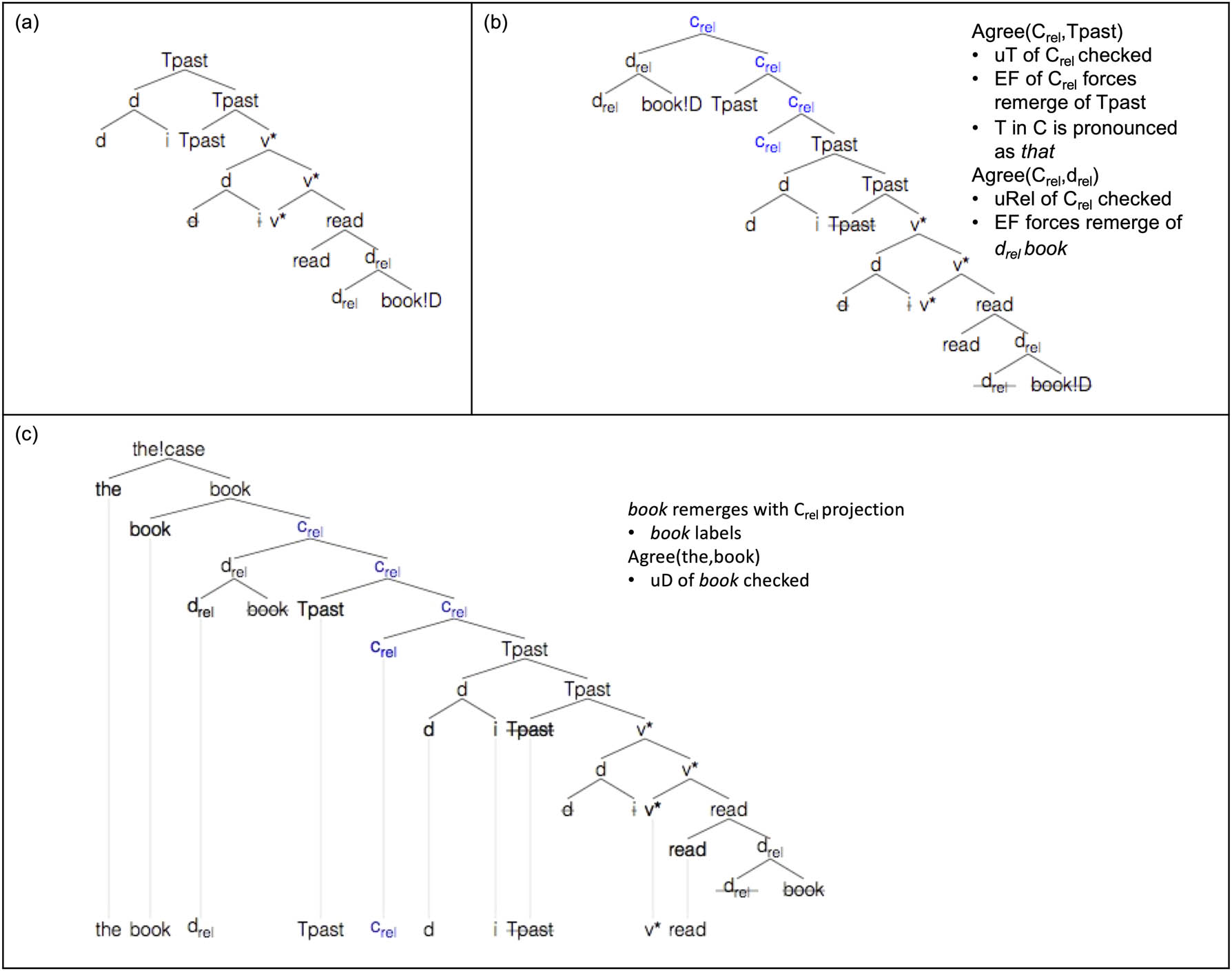 Figure 4
Derivation of the book that I read.