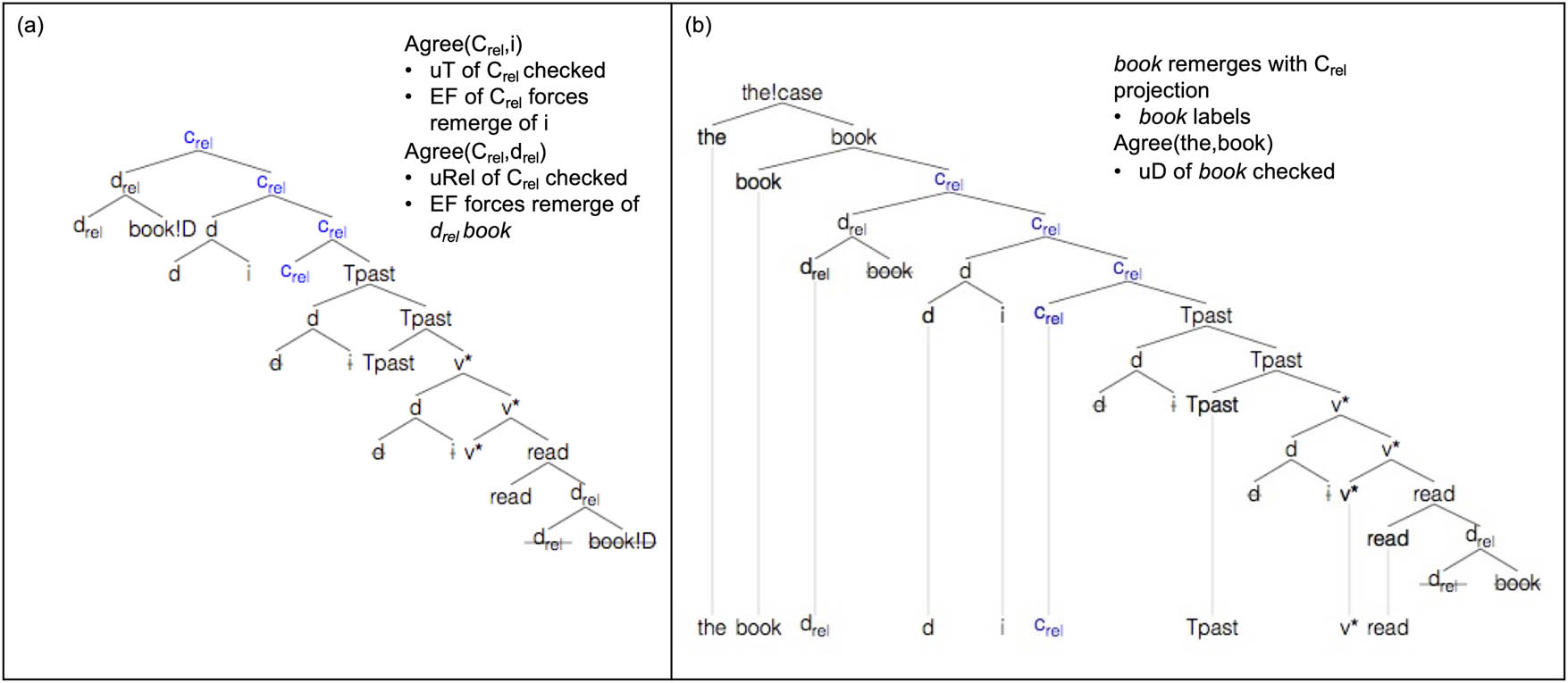 Figure 5
Derivation of the book Ø I read.