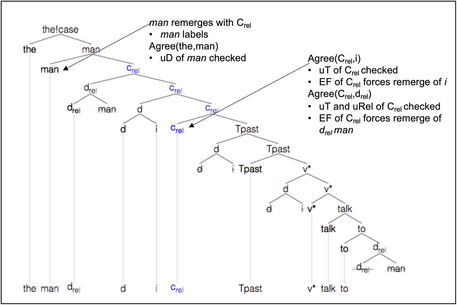 Figure 7
Derivation of the man Ø I talked to.