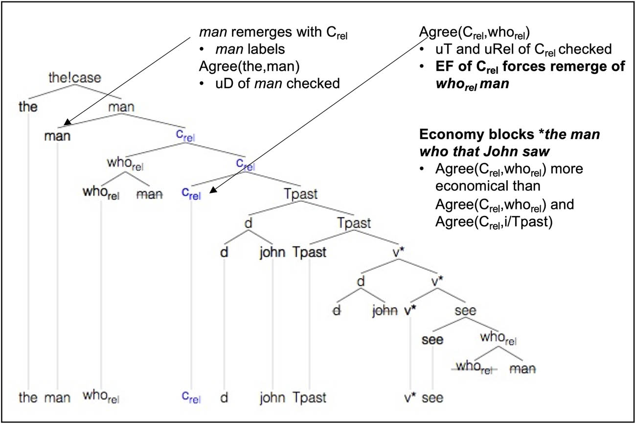 Figure 12
Derivation of the man who(m) John saw.