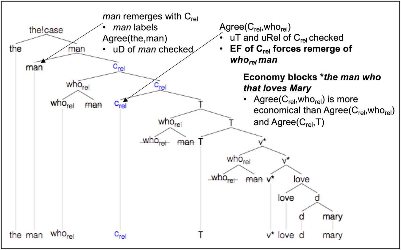 Figure 13
Derivation of the man who loves Mary.