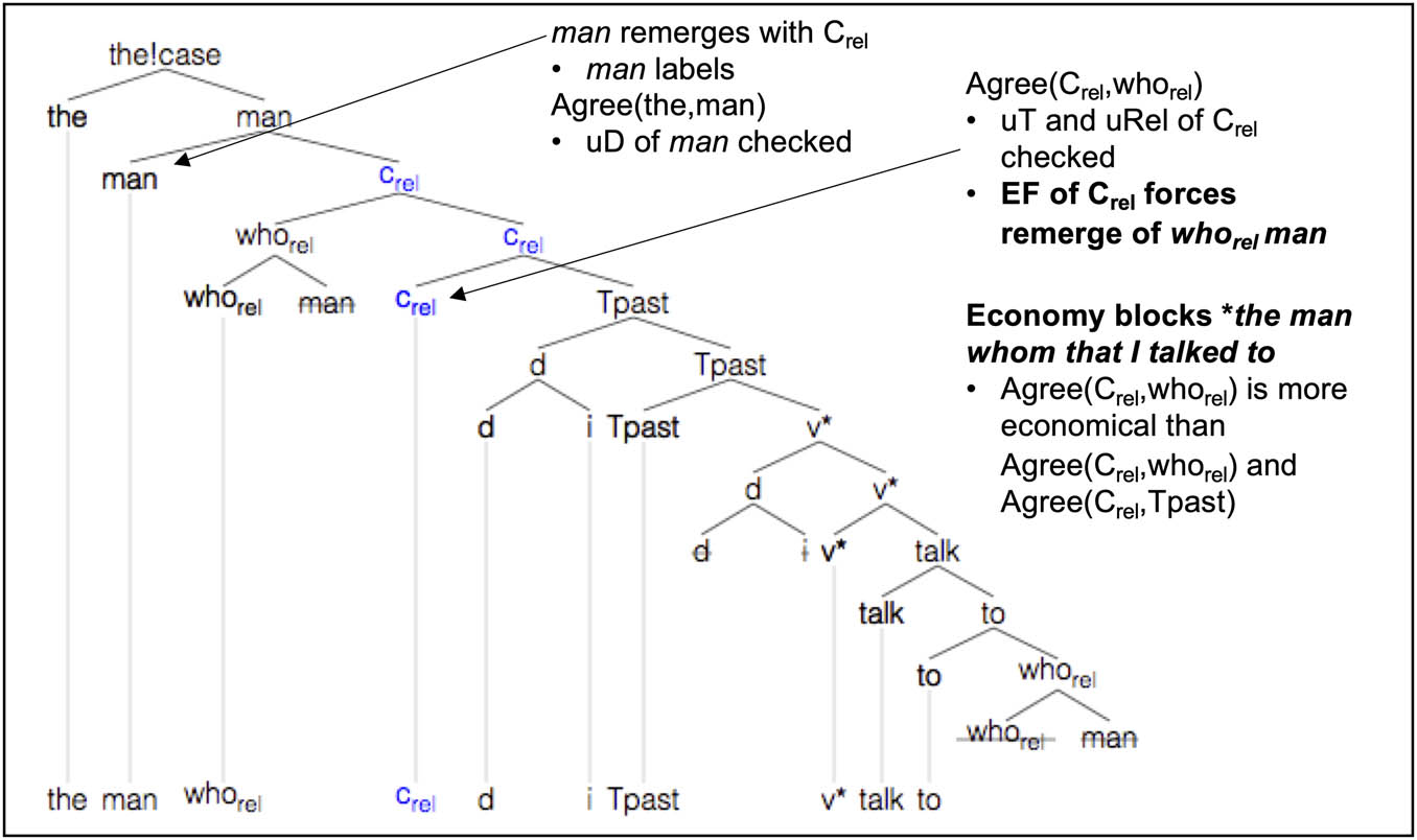 Figure 14
Derivation of the man who(m) I talked to.