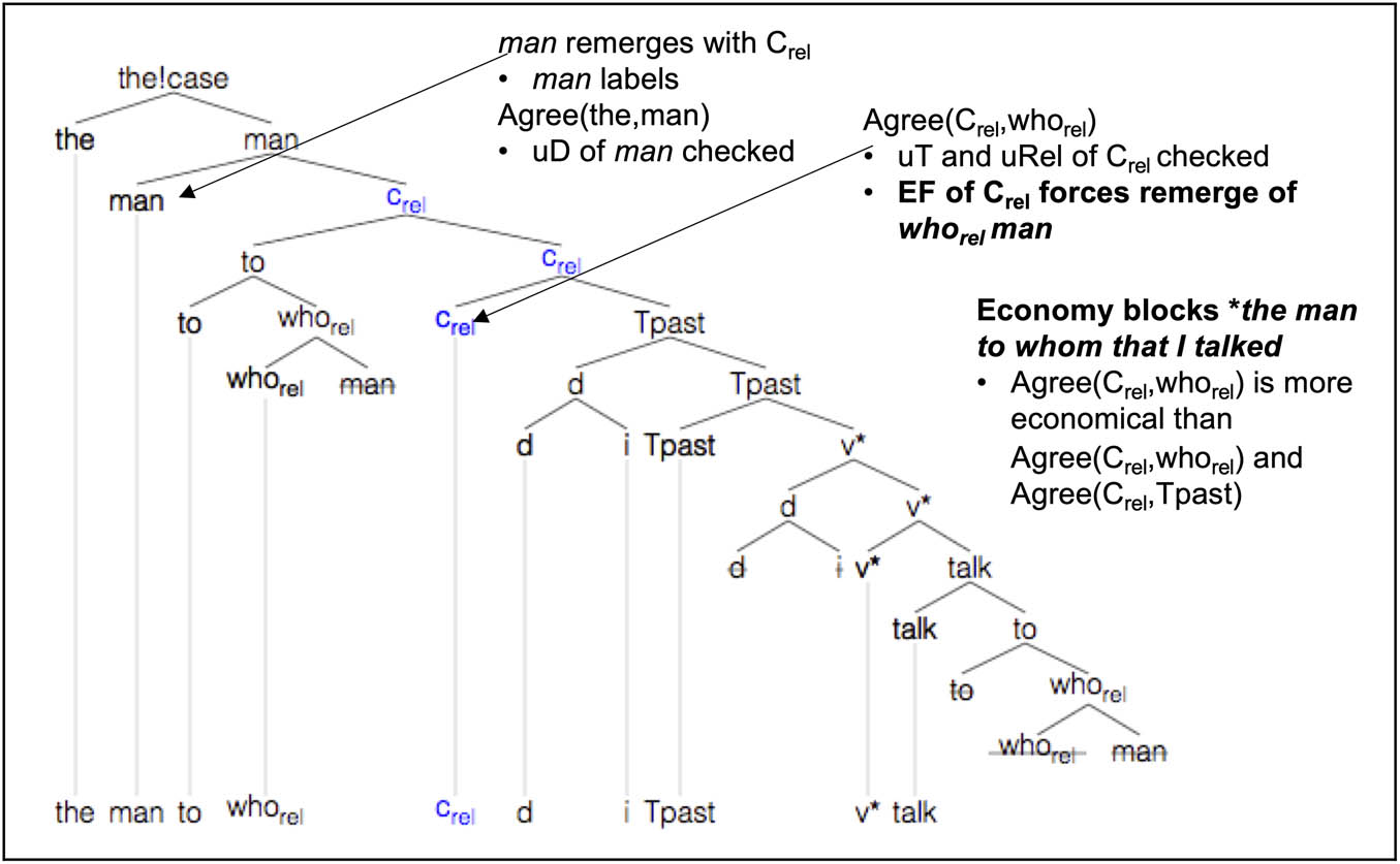 Figure 15
Derivation of the man to who(m) I talked.