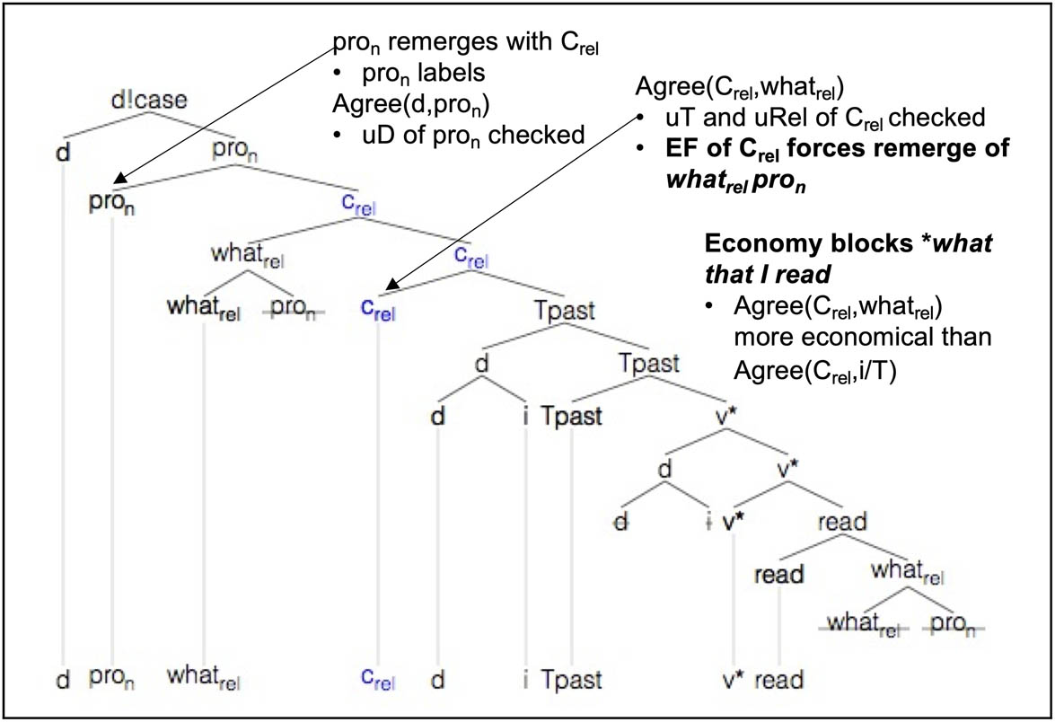 Figure 20
Derivation of what I read.