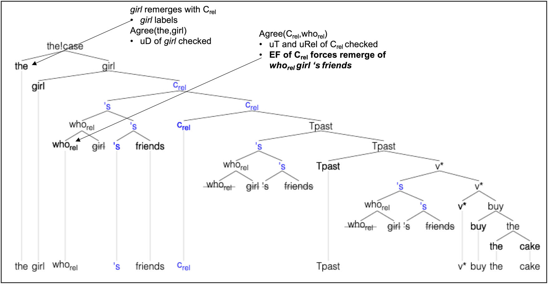 Figure 23
Derivation of the girl whose friends bought the cake.