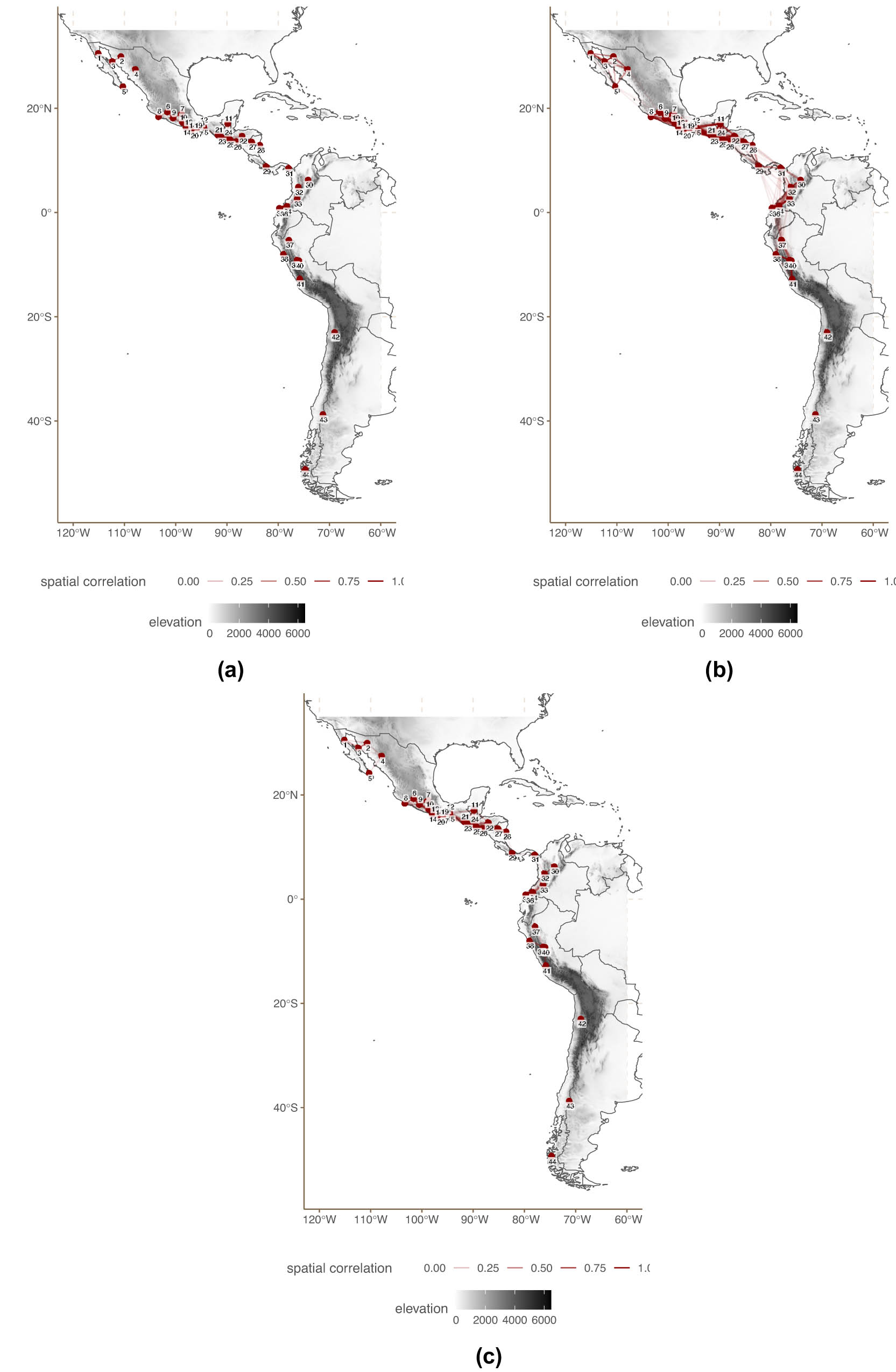 Figure 18 
                     Spatial correlation structures of the model for American languages. (a) Weakest spatial correlation structure. (b) Strongest spatial correlation structure. (c) Mean spatial correlation structure.
                  