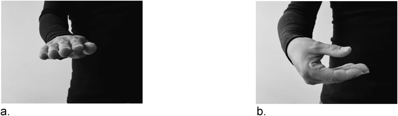 Figure 1
Intransitive vs transitive event descriptions of location of a book (recreated from Zwitserlood 2003, 127, Figure 41). (a) LOCdown-be-CL:flat ent ‘There is a book (on the table)’. (b) x-move-LOCdistal-CL:thick flat ent ‘(Someone) puts a book down (on the table)’.
