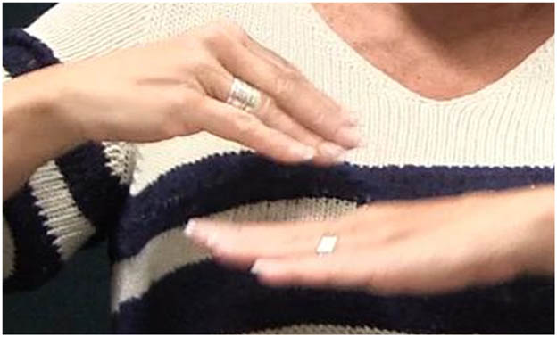 Figure 4
MOVE basket.