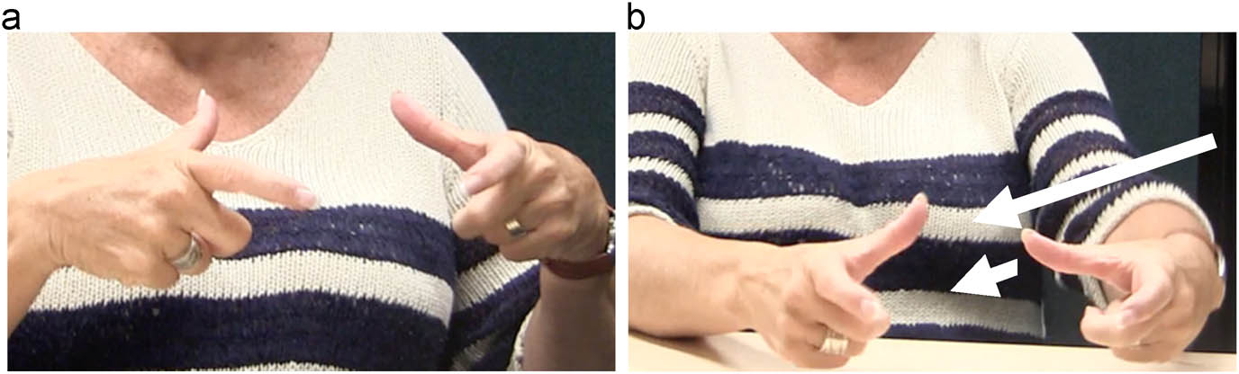 Figure 6
(TWO) PLATE (a), MOVE (b).