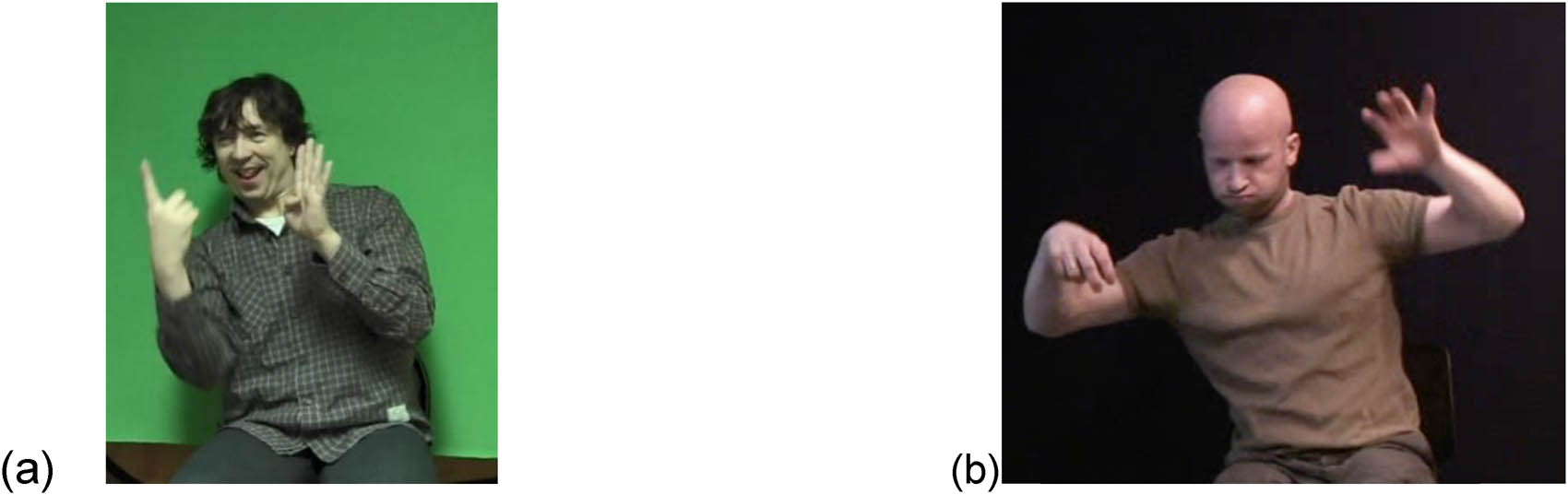 Figure 1 
               (a) Classifier 1-handshape (described event: The cat is turning around the corner), source: The online Russian Sign Language (RSL) corpus (Burkova 2015); (b) classifier 2-handshape on the right hand (described event: The cat is running across the street), source: Corpus NGT (Crasborn et al. 2008).
            