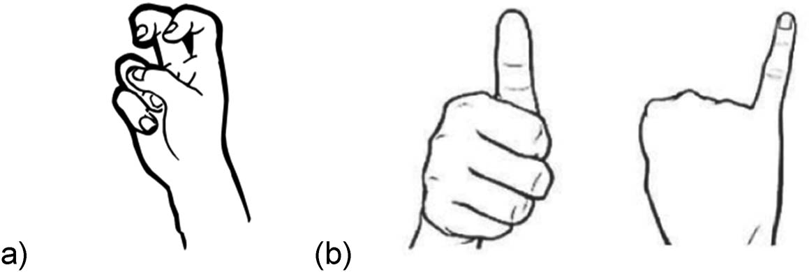 Figure 3 
               Classifier handshapes for (a) small animals in ASL, and (b) classifiers for male (on the left) and female referents (on the right) in Korean Sign Language (Nam and Byun 2022, 73).
            