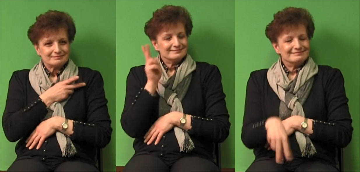 Figure 4 
                     Lexical sign DIE in RSL. RSLM-s1-s13-a11 [00.03.15:100–00.03.16.450].
                  