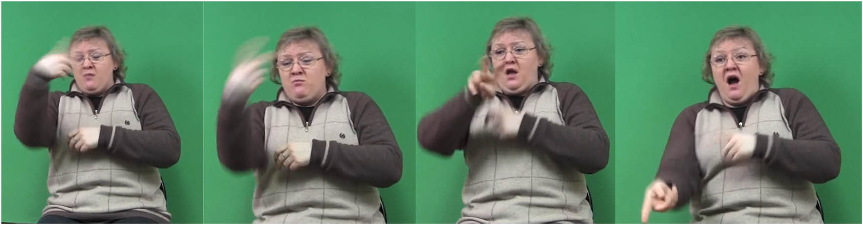 Figure 5 
                     Lexical sign FALL in RSL. RSLM-s1-s14-a15 [00.06.29:430–00.06.29:930].
                  