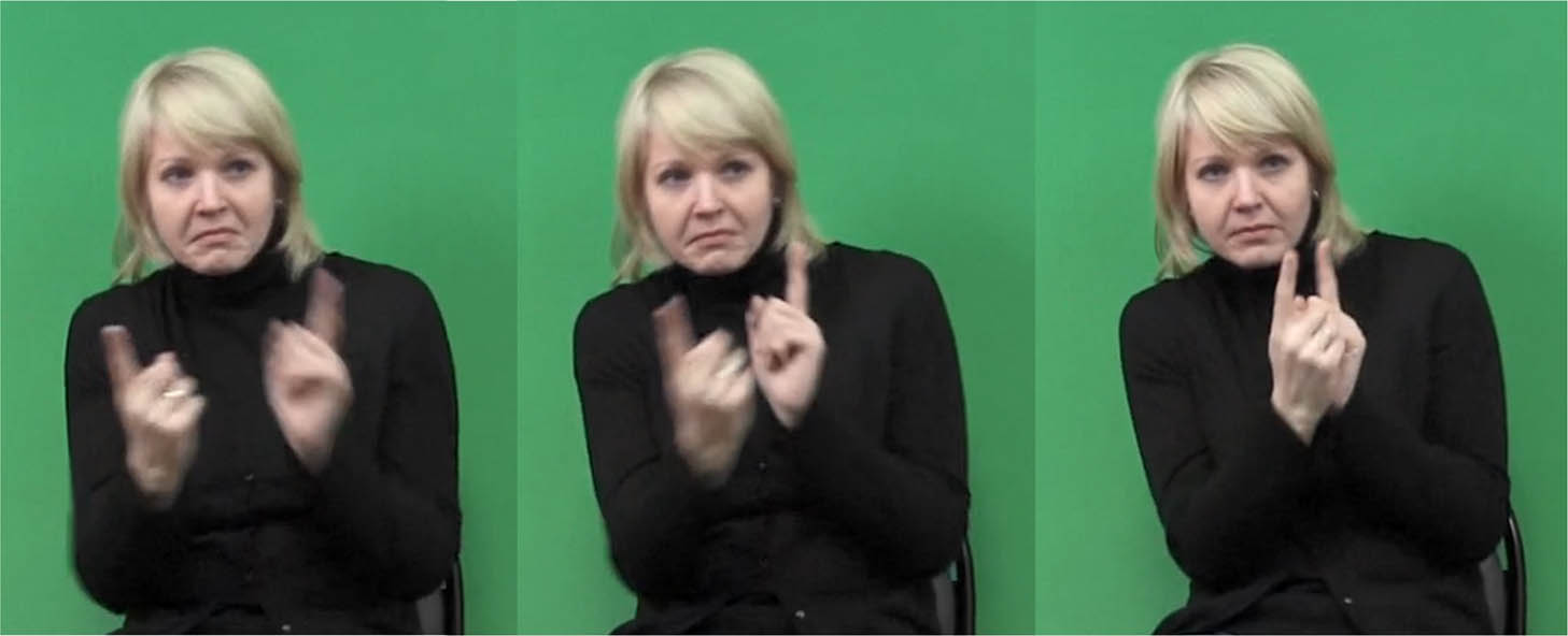 Figure 6 
                     Lexical sign MEET in RSL. RSLM-s3-s15-a14 [00.00.44:450–00.44:460].
                  