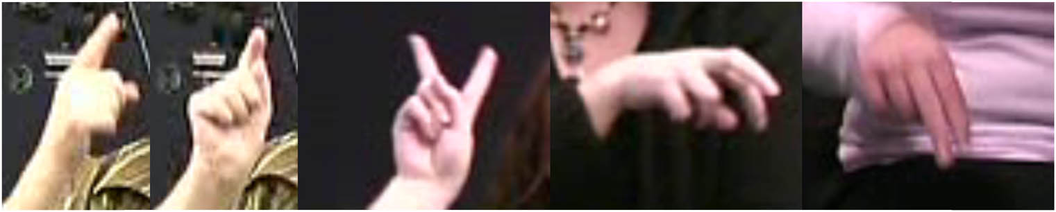 Figure 7 
                     Handshape variants 1, 1b, 2, 2bm (movement not depicted), and N.
                  