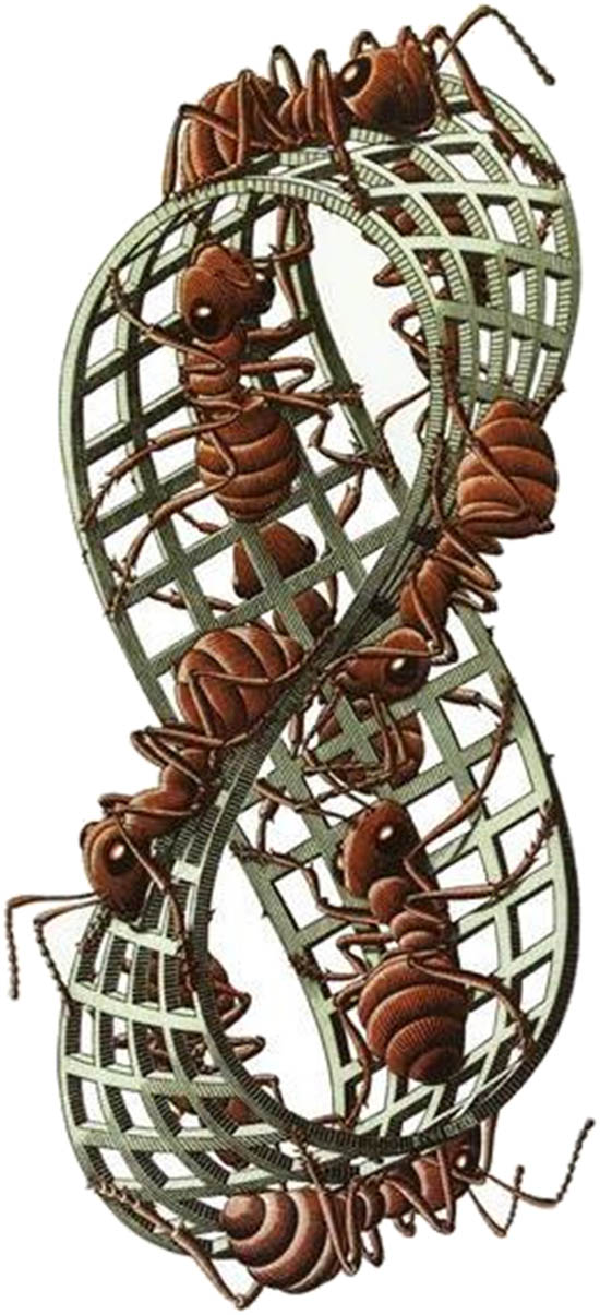 Figure 1
M. C. Escher, Möbius Strip II, 1963, woodcut print.