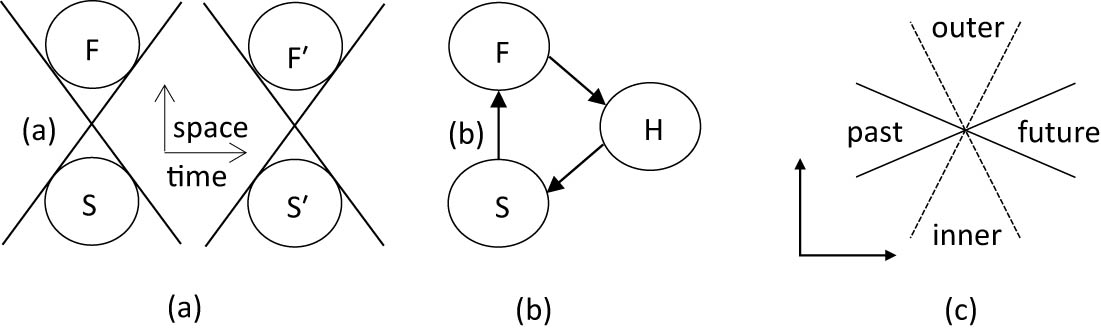 Figure 4 
               Adding time to the spatial structure–function dyad: S, structure; F, function, H, history. (a) Time is a parameter, so the S–F dyad changes over time to the S’–F’ dyad; (b) time is represented as H and the arrows to/from it, so S gives rise to (supports) F which gives rise to H which leave traces as S; (c) time is depicted in the horizontal double cone (solid) of past-future that augments the vertical spatial double cone of inner-outer (dotted).
            