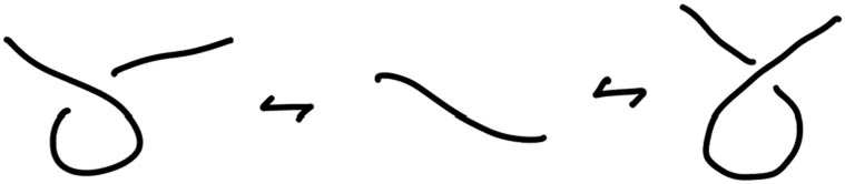 Figure 2 
               Reidemeister Type I move illustrating self-membership of a loop (self-inclusion).
            