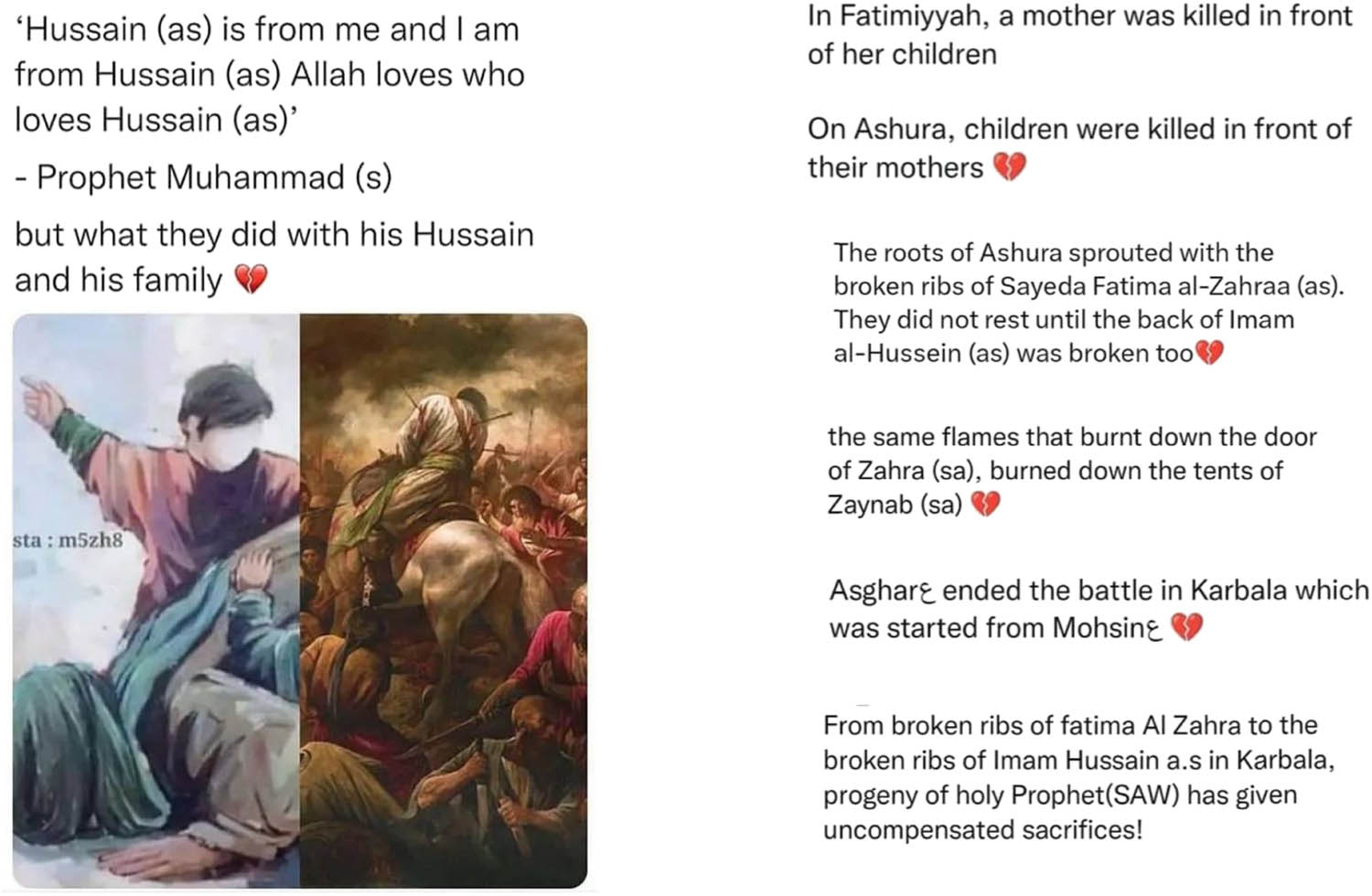 Figure 2
Instagram Post of Shiatweets12, https://www.instagram.com/p/C9USAMcC5Ft/?img_index=1 (accessed on 11 August 2024).