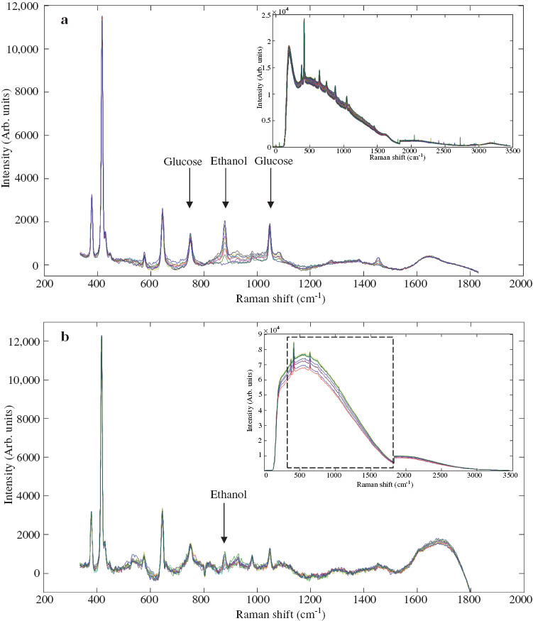 Fig. 2 Raman spectra of pure glucose fermentation (a) and switchgrass hydrolysate (b) with the untreated spectra in the top right inset and the spectra after polynomial fitting in the main image.