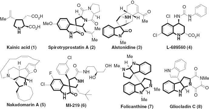 Fig. 1 The structural significance of five and six membered nitrogenous heterocycles.