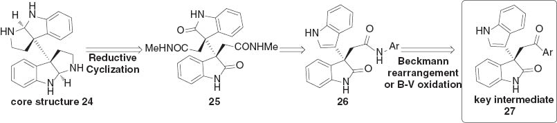 Scheme 3 Retrosynthetic analysis of core structure 24.
