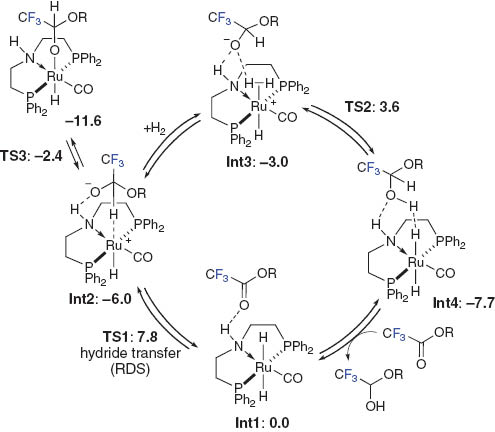 Fig. 5 A possible catalytic cycle for the formation of trifluoroacetaldehyde methyl hemiacetal. All the free energies (ΔG°298 K, kcal·mol–1) are calibrated relative to Int1.