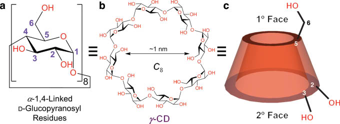 Fig. 1 Structural formulas defining (a) the α-1,4-linked d-glucopyranosyl residues present as a total of eight in (b) γ-cyclodextrin (γ-CD) with its C8 symmetry. (c) A graphical representation of γ-CD.