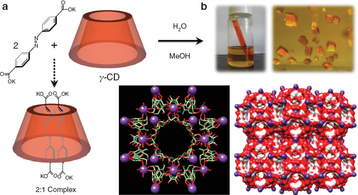 Fig. 2 The serendipitous discovery of CD-MOF-1. (a) Attempts to form a 2:1 complex in aqueous mixture between dipotassium azobenzene-4,4′-dicarboxylate and γ-CD resulted in (b) the formation of cubic crystals of an extended framework called CD-MOF-1 (bottom right) of (γ-CD)6 cubes (bottom left).