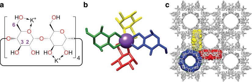 Fig. 4 (a) The alternating arrangement of K+ ions coordinated to the 1° and 2° faces of the four repeating maltosyl units within γ-CD in CD-MOF-1. (b) A tubular representation of the coordination of a K+ ion (purple sphere) in the solid-state structure of CD-MOF-1. The K+ ion coordinates to the secondary OH groups, attached to C-2 and C-3 on two separate d-glucopyranosyl residues (green and blue) while two further residues (yellow and red) are coordinated to the glycosidic ring O atom and the primary OH group attached to C-6. (c) Expanded solid-state superstructure of CD-MOF-1, with four γ-CD tori coordinated to one K+ ion displayed as space-filling models in green, blue, yellow, and red colors. The green γ-CD torus is hid by the blue one because of the parallel arrangement of both γ-CD tori along the central axis.