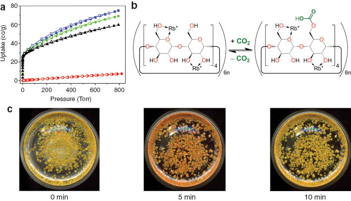 Fig. 5 (a) Gas adsorption isotherms for activated CD-MOF-2, indicating the uptake of CO2 measured at 273 K (blue), 283 K (green), and 298 K (black) to be contrasted with the uptake of CH4 at 298 K (red). (b) Schematic diagram illustrating the equilibrium proposed to exist during the chemisorption of CO2 by CD-MOF-2. (c) Photographs of activated CD-MOF-2 samples doped with methyl red at selected time intervals during CO2 sorption and desorption processes. Left: Yellow crystals prior to CO2 exposure. Middle: Red crystals obtained after exposure of the yellow crystals to CO2 for 5 min. Right: Crystals that reverted back to yellow following removal of the CO2 atmosphere, allowing air to enter the vial over 5 min.