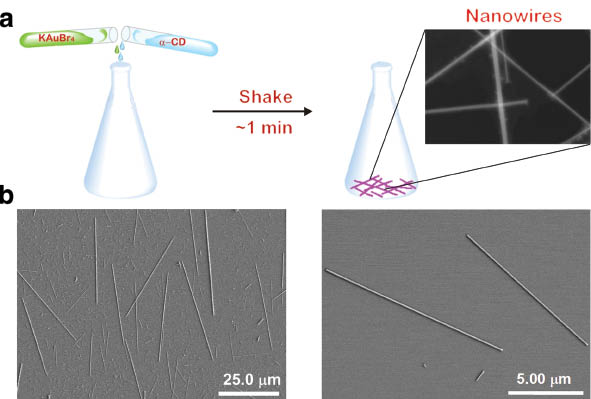 Fig. 7 (a) Formation of crystalline nanowires of the co-precipitated α·Br from KAuBr4 and α-CD. (b) SEM images of a co-precipitate sample of α·Br.