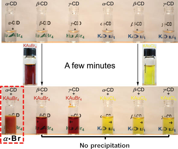 Fig. 8 A comparison of vials illustrating the selective co-precipitation of α⋅Br from KAuBr4 and α-CD.