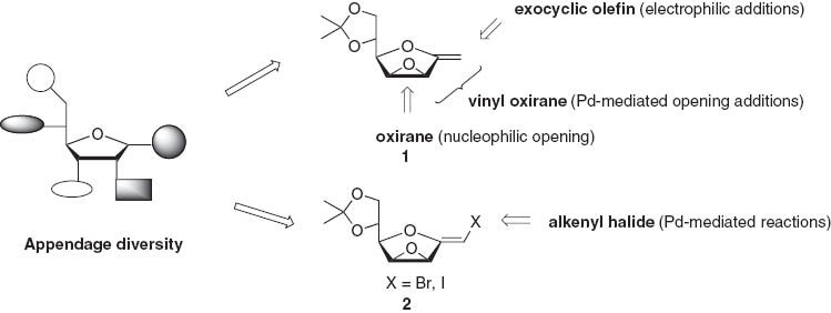 Scheme 1 Gomez, Lopez, and co-workers approach to appendage diversity in furanoses from epoxy exo-glycals.
