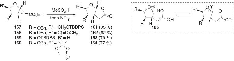 Scheme 38 Synthesis of lactones 161–164 from furanose cyclopropanes 157–160 [91].