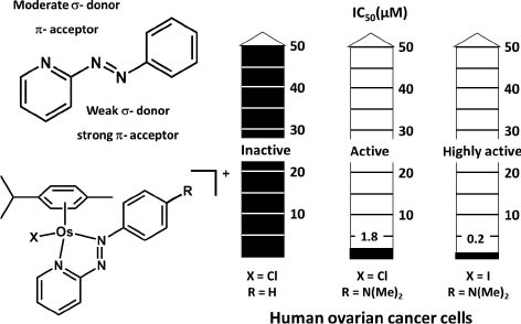 Fig. 10 Effect of the halido ligand and phenyl substituent on the activity of Os(II) phenylazopyridine arene complexes towards A2780 human ovarian cancer cells.