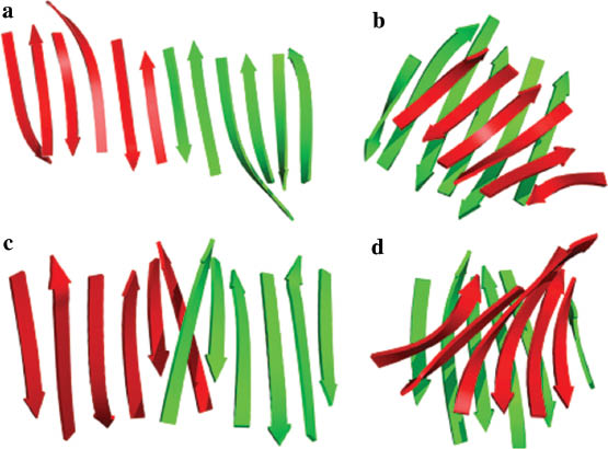 Fig. 4 Schematic representation of the back β-sheets in dimeric legume lectins. (a) pea lectin, (b) GS-IV lectin, (c) EcorL and (d) Dolichos biflorus leaf lectin (PDB Codes: 2BQP, 1LEC, 1LTE and 1LUL). Sheets from the two subunits are colored differently. That in pea lectin is the cannonical mode of dimerization, first observed in tetrameric ConA.