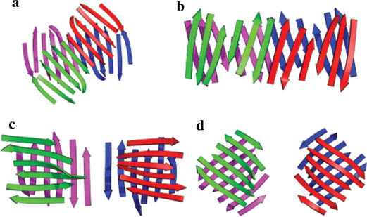 Fig. 5 Schematic representation of the back β-sheets in tetrameric legume lectins. (a) ConA, (b) Soyabean agglutinin, (c) PNA, and (d) Griffonia simplicifolia I-B4 lectin (PDB Codes: 3CNA, 2SBA, 2PEL and 1LED). Sheets from the four subunits are colored differently.