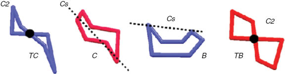 Fig. 1 Conformations of cycloheptane.