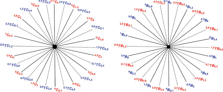 Fig. 2 Pseudorotational itinerary for chair-twist-chair and boat-twist-boat conversions of an oxepane.