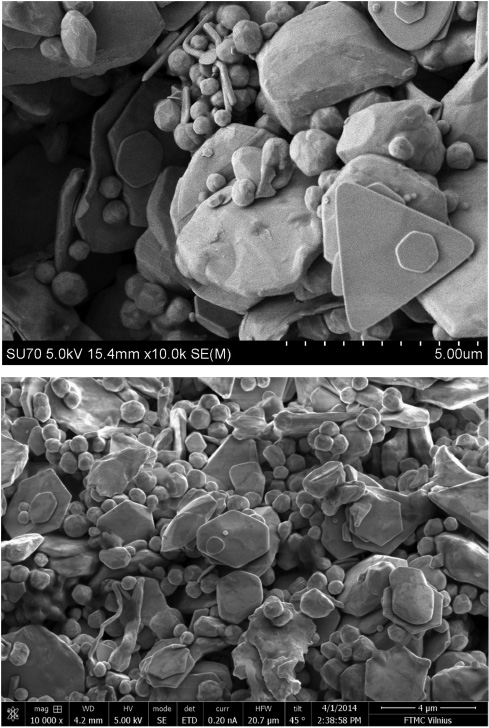 Fig. 1
SEM micrographs of Au sample obtained by two different scanning electron microscopes.