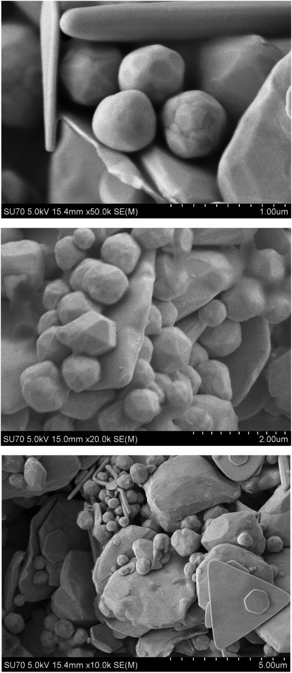 Fig. 2
SEM micrographs of Au sample obtained at different magnifications using the same scanning electron microscope.
